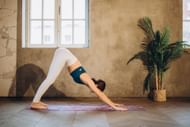 Dolphin yoga pose. (Image credits: Pexels/ Elina Fairytale)